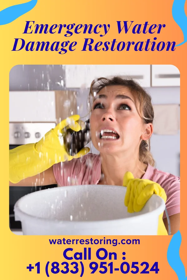 Emergency Water Damage Restoration in Egeland, ND
