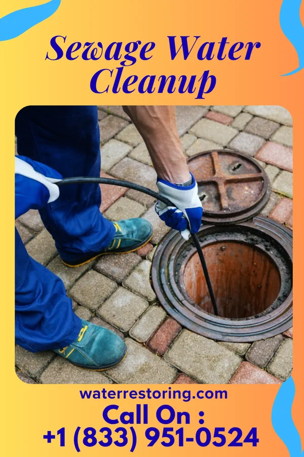 Sewage Water Cleanup in Egeland, ND